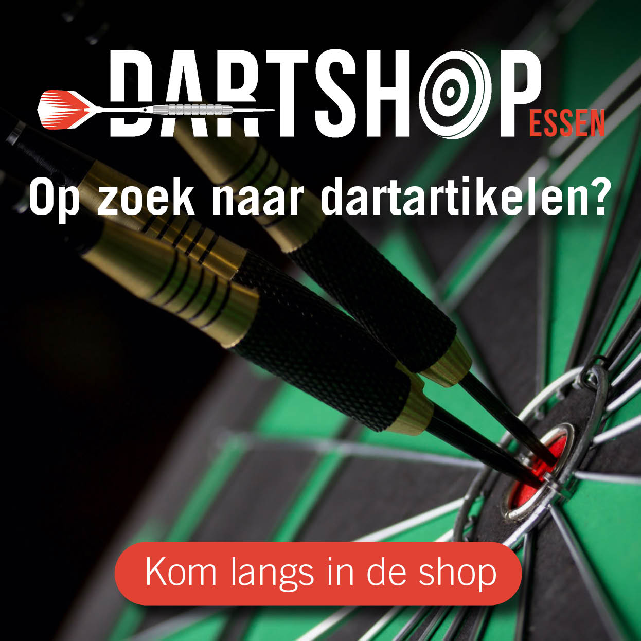 10974 KVG Service (pro darts) (voormalig Dartshop Essen)